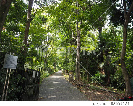 占春園 緑の歩道 占春園 緑の歩道 82659121