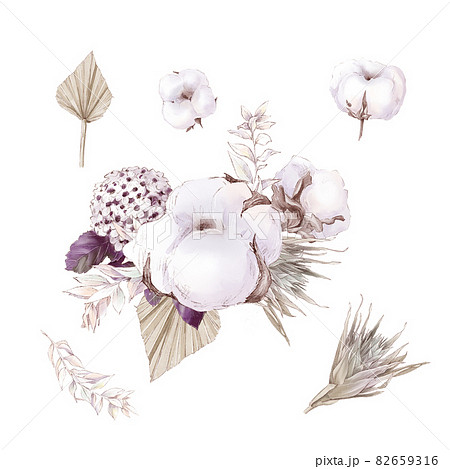 Set Of Cute Cotton Flowers Branches And Leaves のイラスト素材