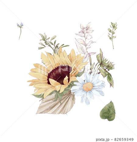 Set of cute sunflowers flowers branches and leaves. Watercolor illustration Set of cute sunflowers flowers branches and leaves. Watercolor illustration 82659349