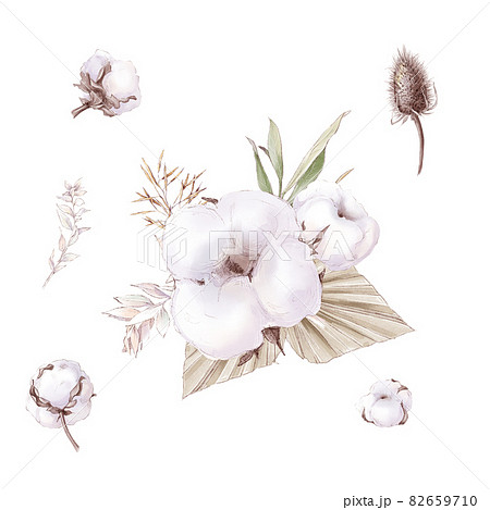 Set Of Cute Cotton Flowers Branches And Leaves のイラスト素材