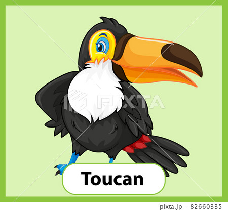 Educational English word card of Toucan Educational English word card of Toucan 82660335