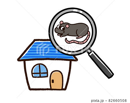 ドブネズミのいる住宅　虫眼鏡 82660508