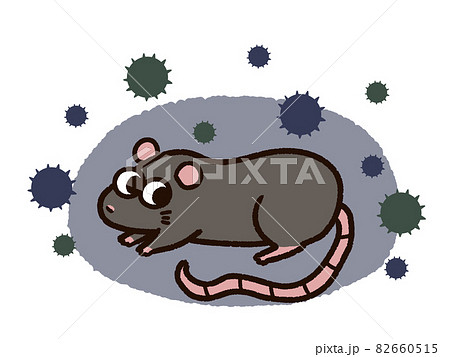 ドブネズミとばい菌 ドブネズミとばい菌 82660515