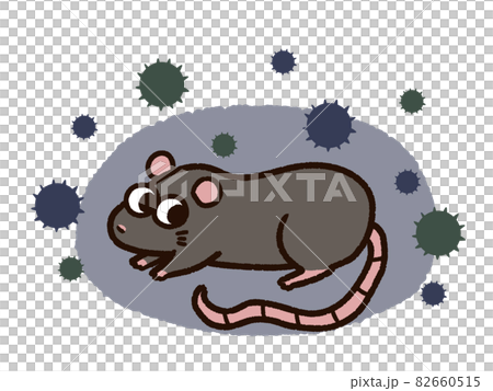 ドブネズミとばい菌 ドブネズミとばい菌 82660515