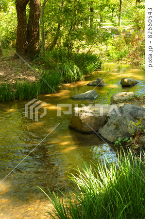 水辺の風景 水辺の風景 82660543