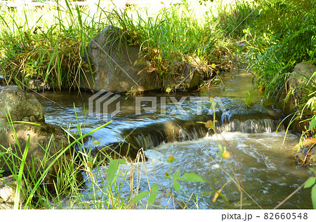 水辺の風景 水辺の風景 82660548