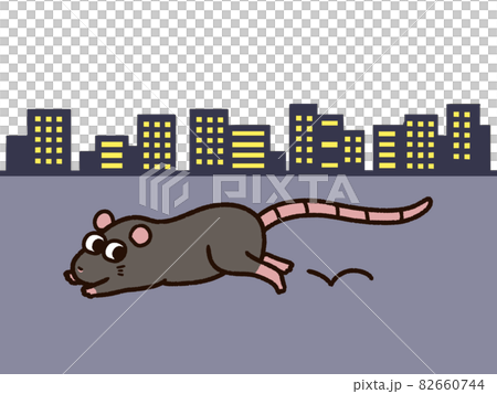 Rattus norvegicus running in the city Rattus norvegicus running in the city 82660744