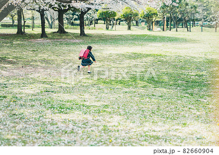 小学校入学 小学校入学 82660904