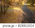 autumn path in the park with fallen leaves and sunbeam 82661024