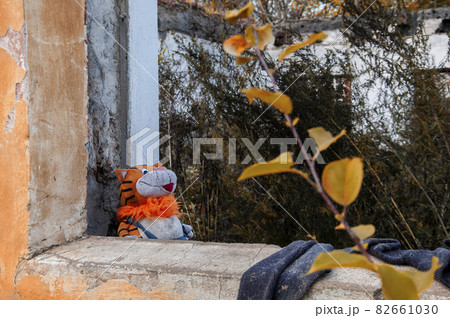 forgotten toy in the window of the ruins on an autumn evening forgotten toy in the window of the ruins on an autumn evening 82661030