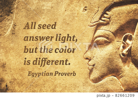 all seed EP 82661209
