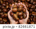ナット 実 フルーツ 82661871