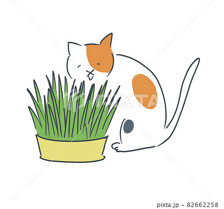 Cat Icon (PFP)  Grass Cat - Stock Illustration [106178349] - PIXTA