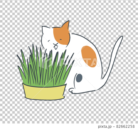 猫　ねこ　猫草　ねこくさ　猫草をたべる猫 82662258