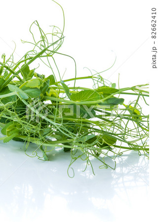 bunch of freshly cut green pea sprouts micro greens bunch of freshly cut green pea sprouts micro greens 82662410
