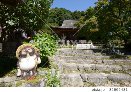 桑実寺　境内入口と狸　滋賀県近江八幡市安土町 82662481