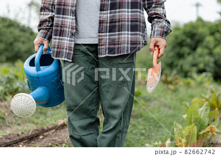 Female gardener concept a gardener holding the blue watering can and metal shovel standing among evergreen vegetable field with a variety of plants Female gardener concept a gardener holding the blue watering can and metal shovel standing among evergreen vegetable field with a variety of plants 82662742