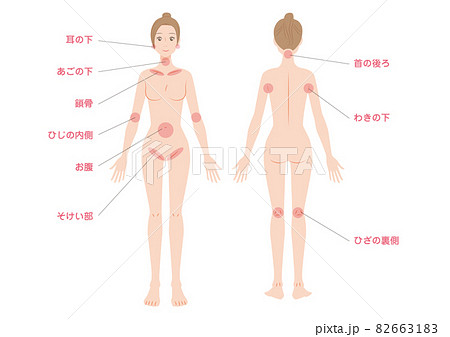 リンパ節のある場所 82663183