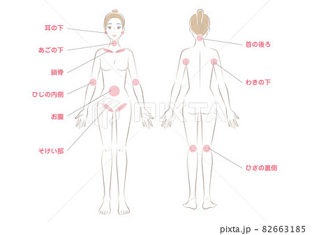 リンパ節のある場所 82663185