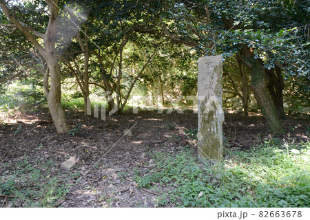 観音寺城跡 本丸跡 滋賀県近江八幡市 観音寺城跡 本丸跡 滋賀県近江八幡市 82663678