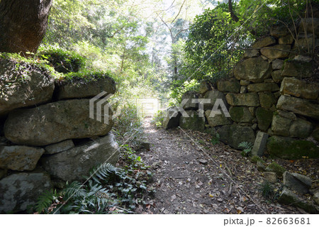 観音寺城跡 石垣 滋賀県近江八幡市 観音寺城跡 石垣 滋賀県近江八幡市 82663681