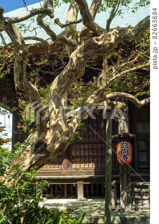 奈良時代聖武天皇ゆかりの 武蔵国橘樹郡国衙に建立された寺院影向寺 奈良時代聖武天皇ゆかりの 武蔵国橘樹郡国衙に建立された寺院影向寺 82663684