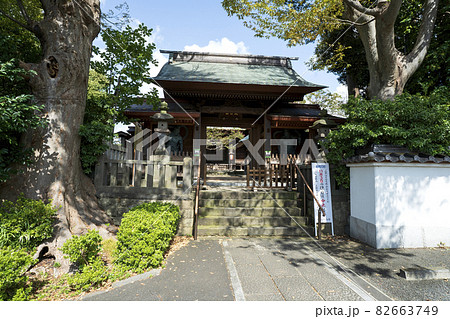 奈良時代聖武天皇ゆかりの 武蔵国橘樹郡国衙に建立された寺 奈良時代聖武天皇ゆかりの 武蔵国橘樹郡国衙に建立された寺 82663749
