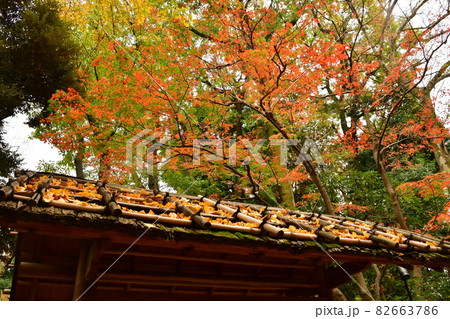 大田黒公園　見上げる入口の門と紅葉 82663786
