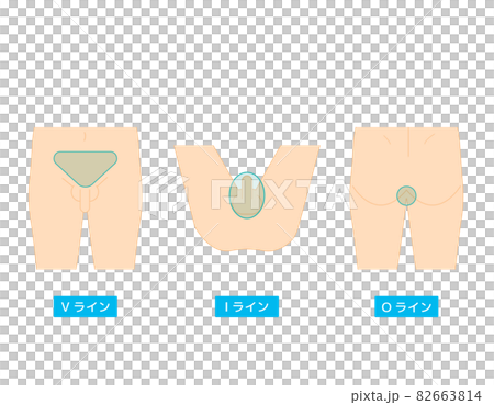 ボディパーツ Vio 脱毛箇所 ベクターイラスト 男性のイラスト素材