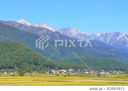 白馬山麓から望む秋の北アルプス 82663911