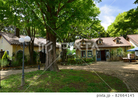 こもれび森のイバランドへ行きました #57 こもれび森のイバランドへ行きました #57 82664145