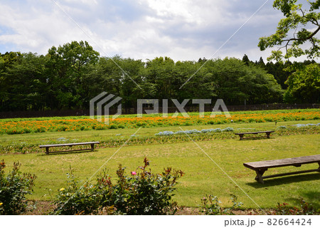 こもれび森のイバランドへ行きました #61 こもれび森のイバランドへ行きました #61 82664424