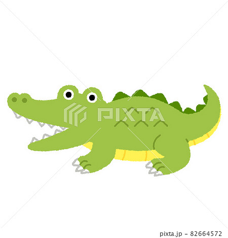 ワニのイラスト 82664572