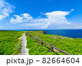沖縄県宮古島、西平安名崎の風景 82664604