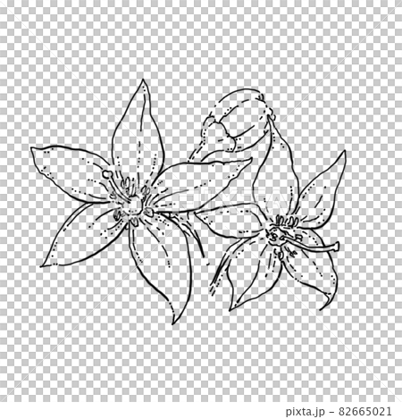 Pepper pen drawing cut illustration 82665021