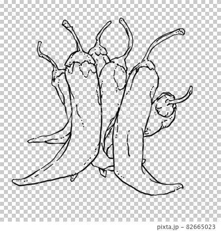 トウガラシのペン画カットイラストのイラスト素材