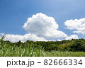 真夏の里山で青空と白い雲 82666334