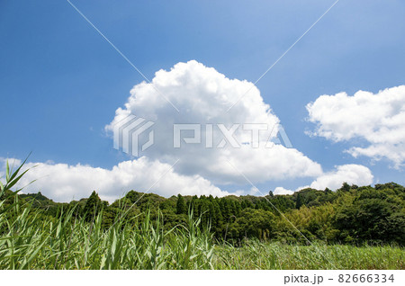 真夏の里山で青空と白い雲 82666334