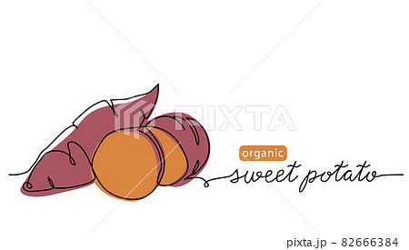 Sweet potato tuber vector illustration. One line art drawing with lettering organic sweet potato 82666384