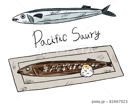 さんまや秋刀魚の手書きイラストイメージのイラスト素材