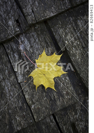 Wooden logs of an old house. The roof is made of wooden planks with a yellow maple leaf. Natural gray weathered wood texture. Background. vertical photo. Wooden logs of an old house. The roof is made of wooden planks with a yellow maple leaf. Natural gray weathered wood texture. Background. vertical photo. 82669413