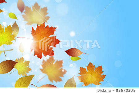 Autumn Falling Leaves In the Wind Autumn Falling Leaves In the Wind 82670238