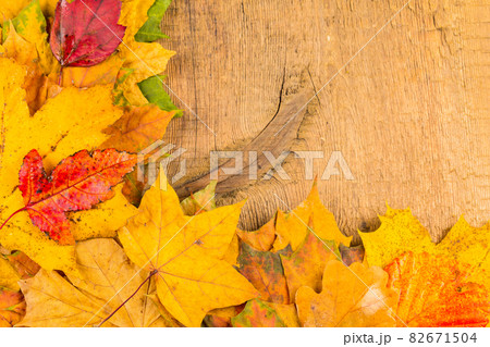 Wet autumn leaves Wet autumn leaves 82671504