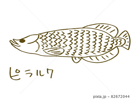 ピラルク ピラルク 82672044