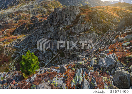 Scattering of stones, granite rock. Rocky mountain slope, chaotic mountain landscape. Scattering of stones, granite rock. Rocky mountain slope, chaotic mountain landscape. 82672400