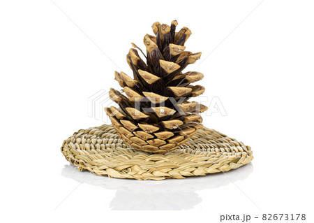 Pine cone on white 82673178