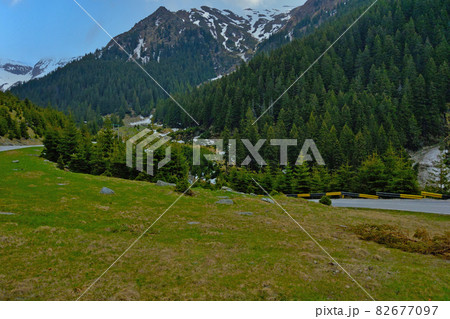 Mountain picturesque road against the background of green trees. 82677097