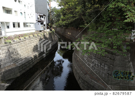 渋谷川　古川 82679587