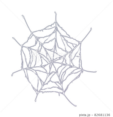 ハロウィン素材 蜘蛛の巣 のイラスト素材