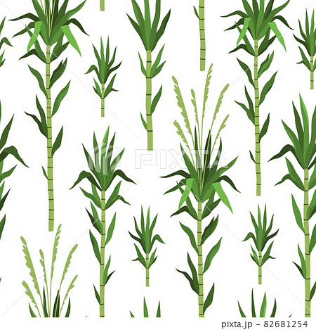 Seamless pattern bamboo tree. Sugarcane plant background, green cane stems isolated, leaves repeat, tropical nature design, vertical branches, decor textile, wrapping paper, vector print 82681254